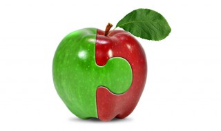 合体した2種類のりんご