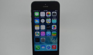 iPhone5